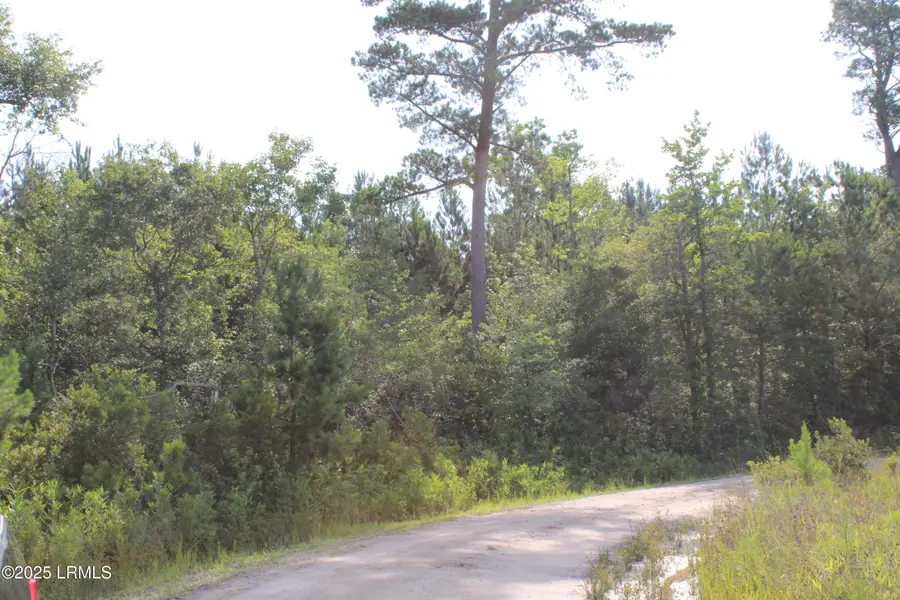 813 Doctor Young Road, Hampton, SC 29924 - Image #3