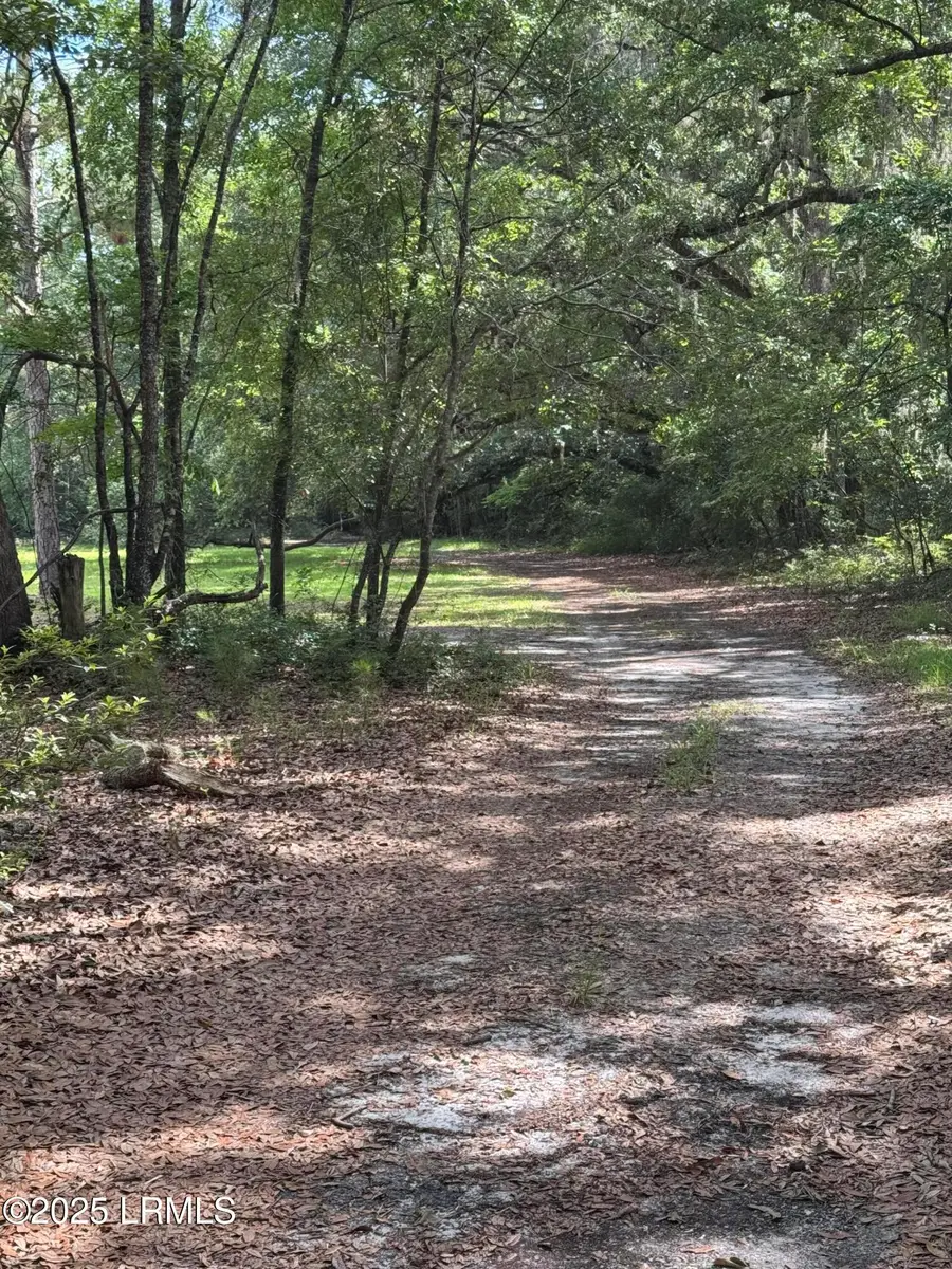 485 Corner Lake Road, Early Branch, SC 29916 - Image #2