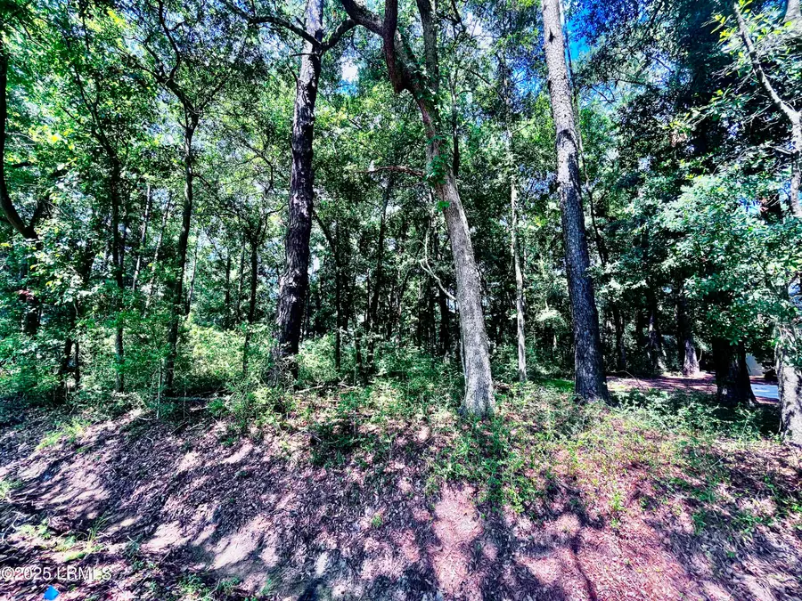 9 E River Drive, Beaufort, SC 29907 - Image #3