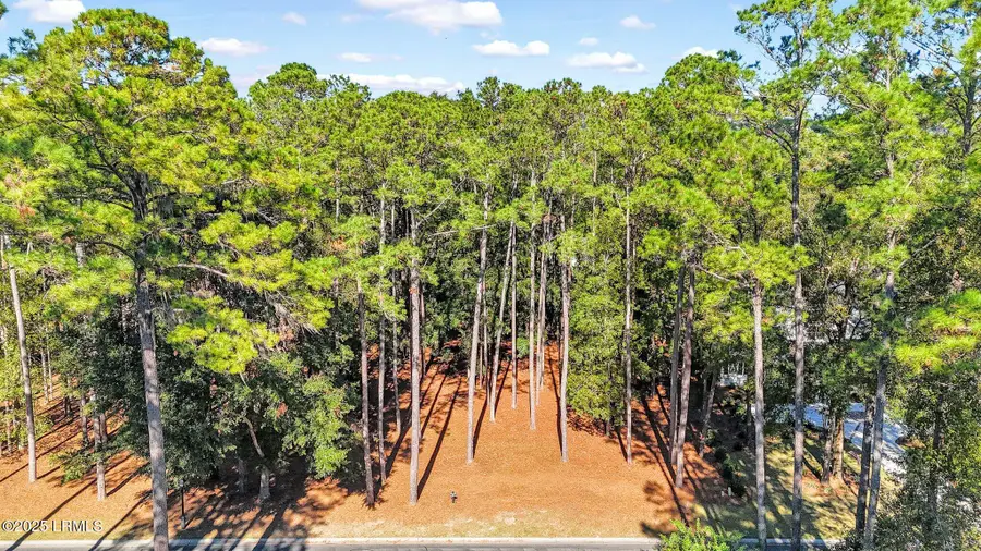 117 Summerton Drive, Bluffton, SC 29910 - Image #2