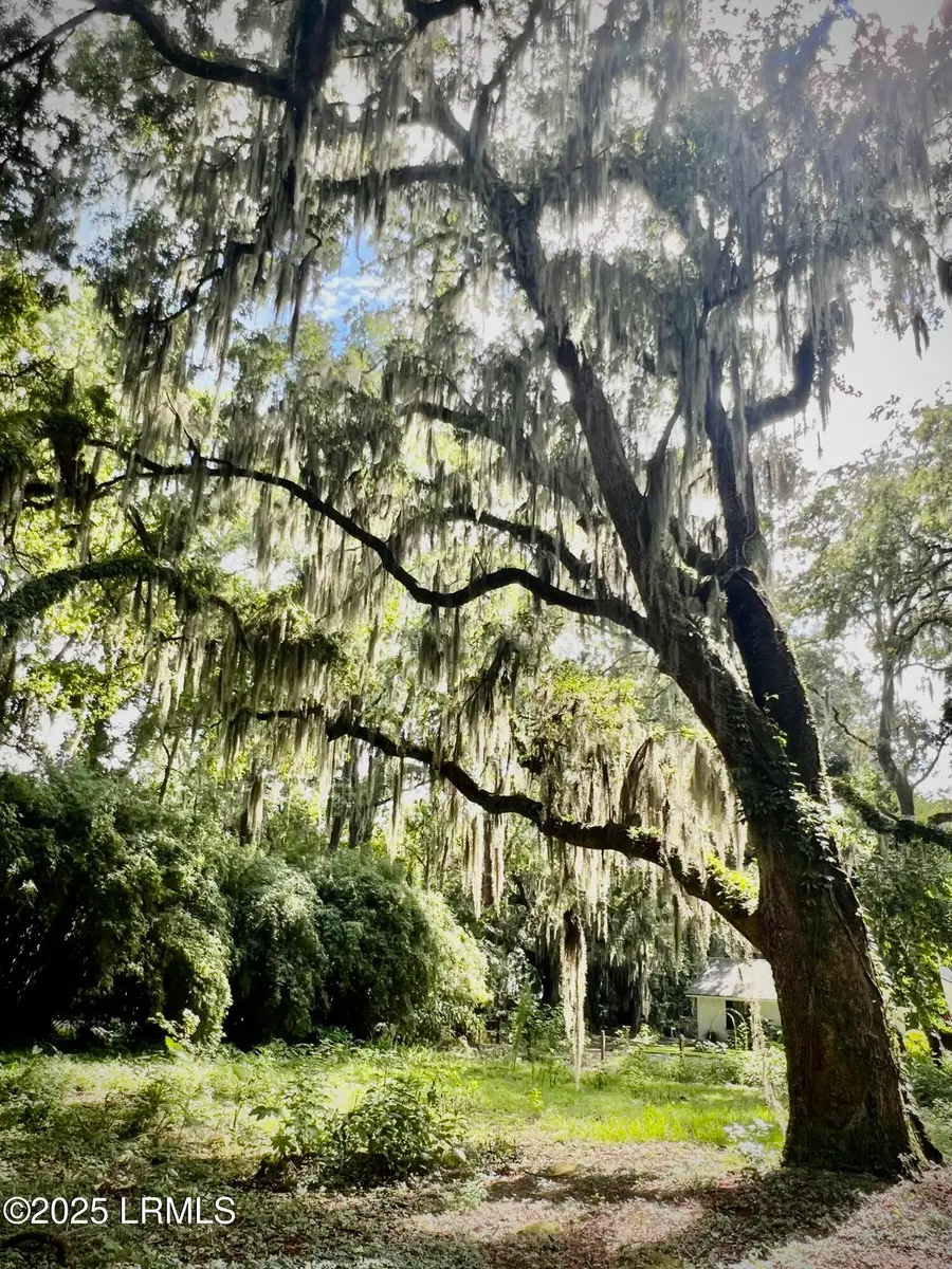 1107 Coleman Lane, Beaufort, SC 29902 - Image #3