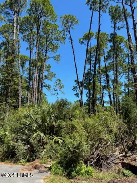 21 Lakeview Lane, Harbor Island, SC 29920 - Image #2