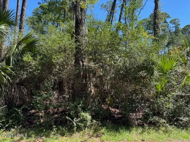 21 Lakeview Lane, Harbor Island, SC 29920 - Image #3