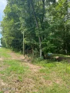 Tbd Green Pond, Walterboro, SC 29488 - Image #2