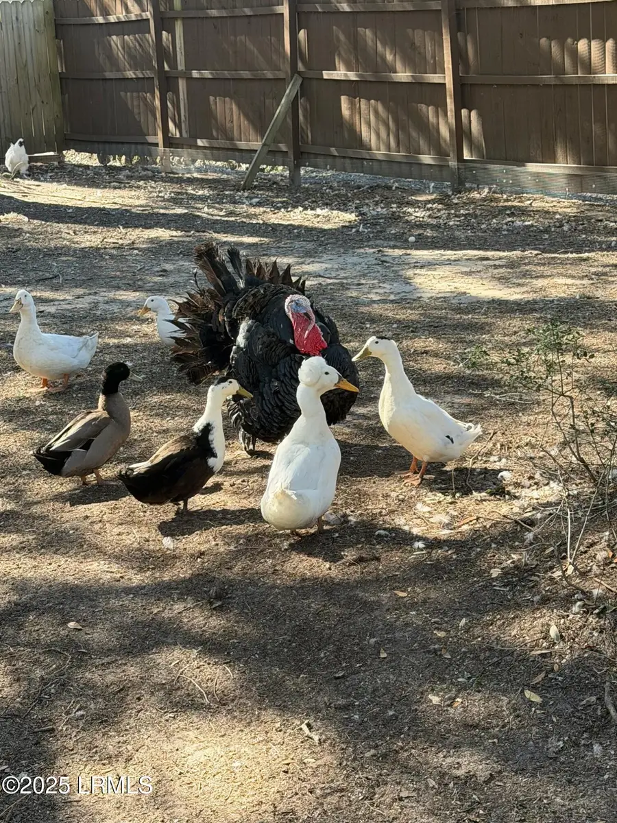 10 Big Ash Lane, Beaufort, SC 29907 - Image #3