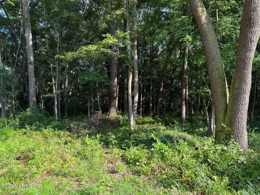 23 Joe Frazier Road, Beaufort, SC 29906 - Image #2