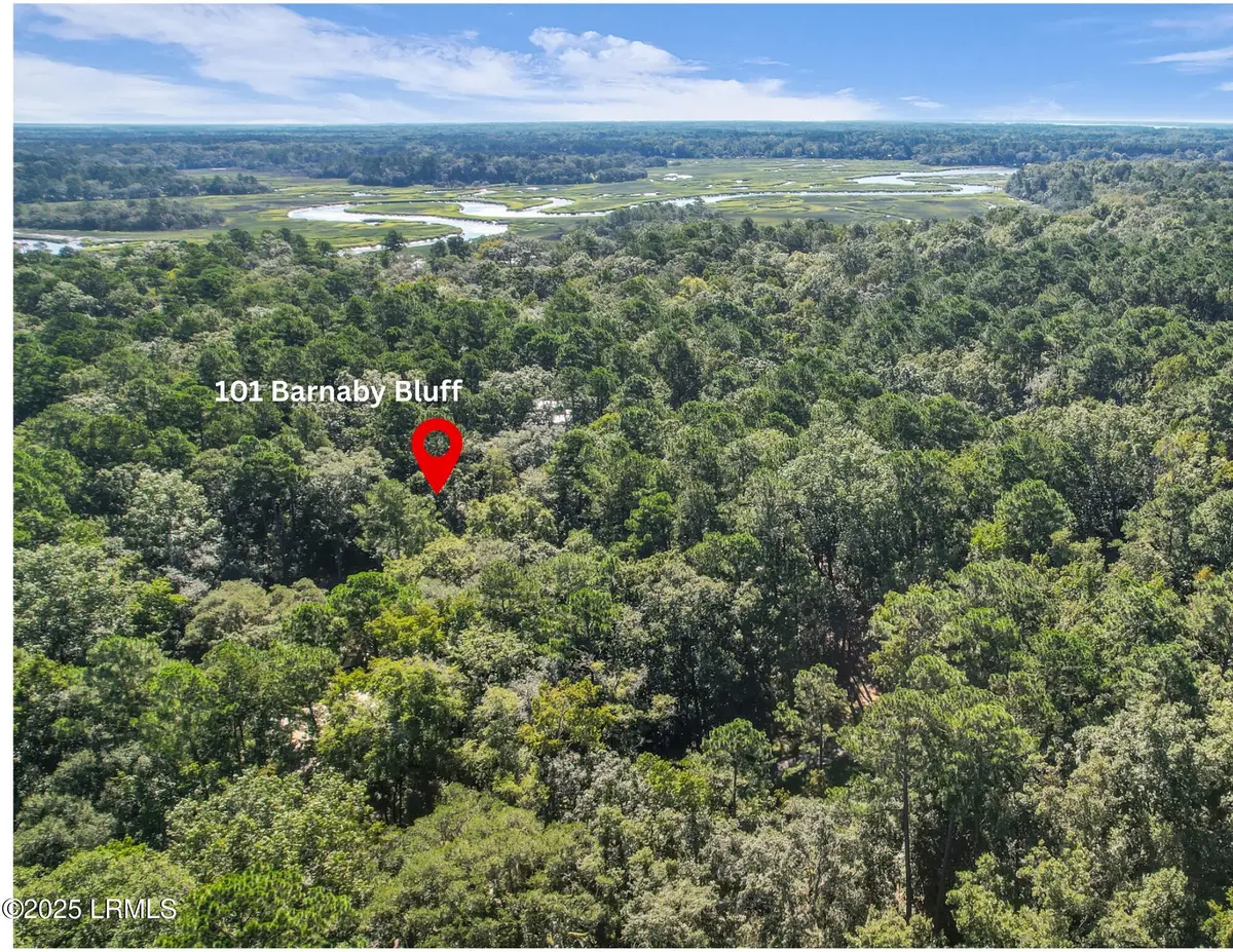 101 Barnaby Bluff, Seabrook, SC 29940 - Image #1