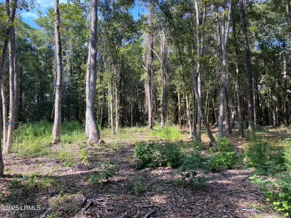 51 Mary Smalls Road, St. Helena Island, SC 29920