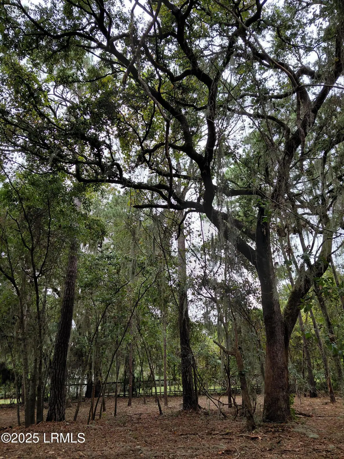 21 Fort Fremont Court N, Saint Helena Island, SC 29920 - Image #1