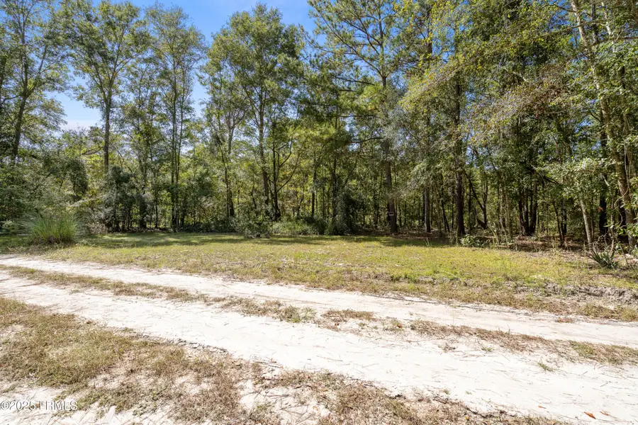 469 Evangelist Drive, Early Branch, SC 29916 - Image #2