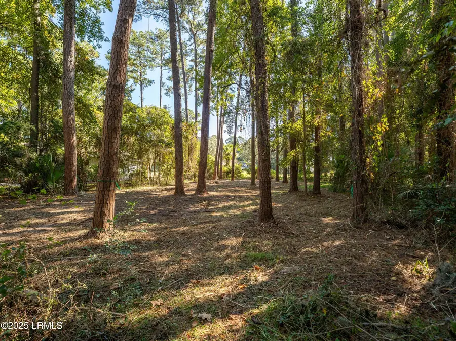 51 Winding Oak Drive, Okatie, SC 29909 - Image #3