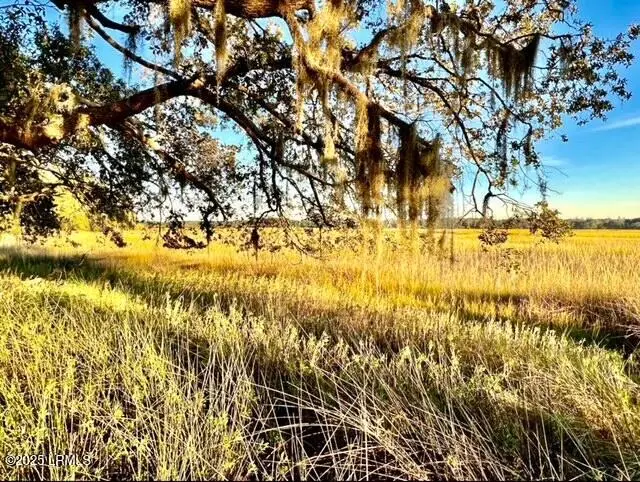 481 Paige Point Bluff, Seabrook, SC 29940 - Image #1