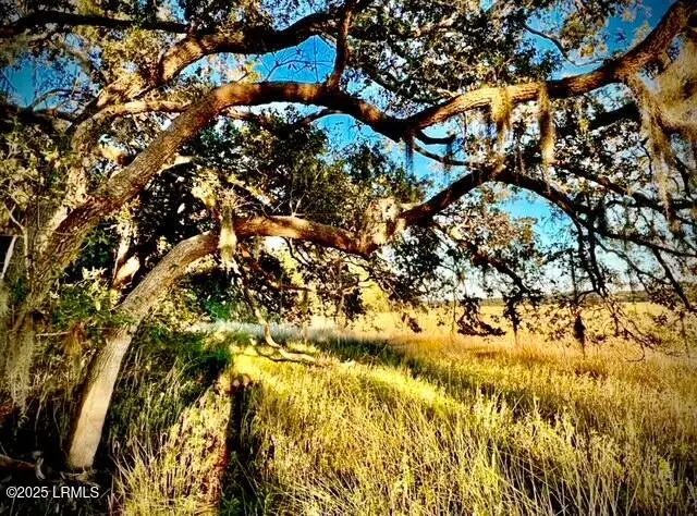 481 Paige Point Bluff, Seabrook, SC 29940 - Image #2