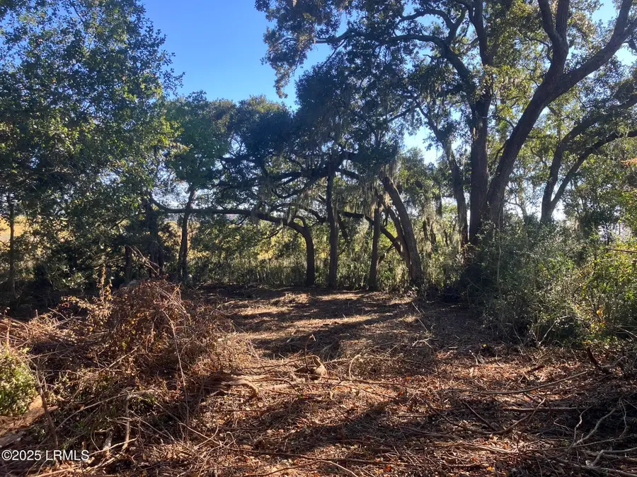 481 Paige Point Bluff, Seabrook, SC 29940 - Image #3