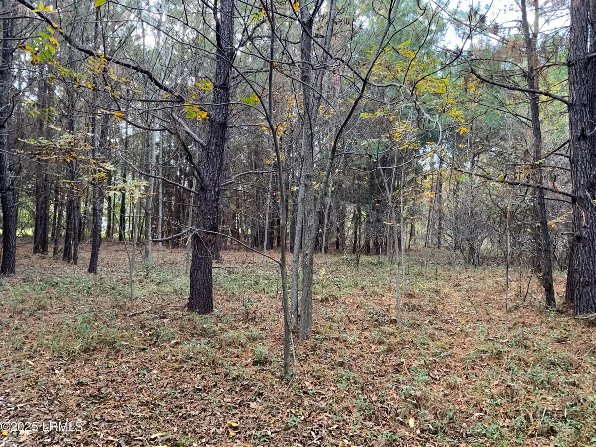 37 Pearl Harbor Drive, Saint Helena Island, SC 29920 - Image #1