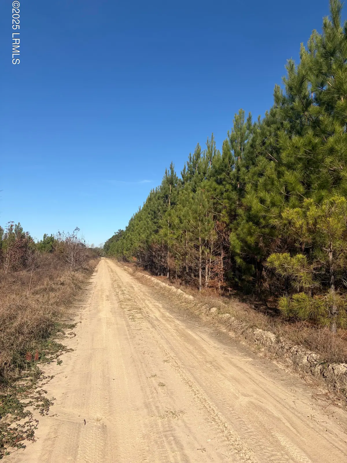 Tbd Orangeburg Road, Estill, SC 29939 - Image #1