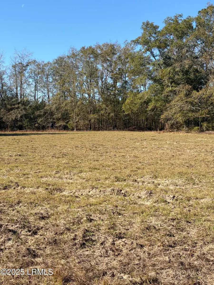 Tbd Orangeburg Road, Estill, SC 29939 - Image #3