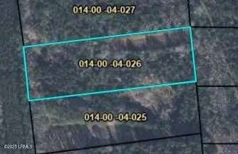 Tbd Cotton Hill Road, Pineland, SC 29934