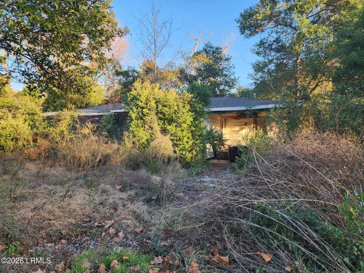 58 Grayson Street E, Brunson, SC 29911 - #1