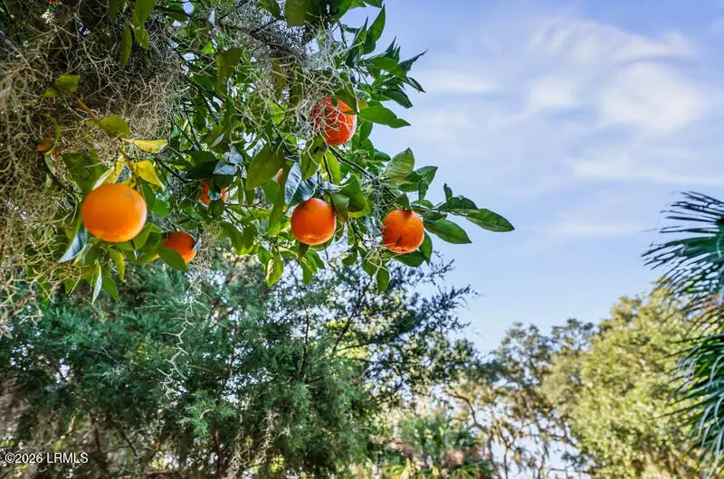 2001 Berkeley Circle, Port Royal, SC 29935 - Image #2