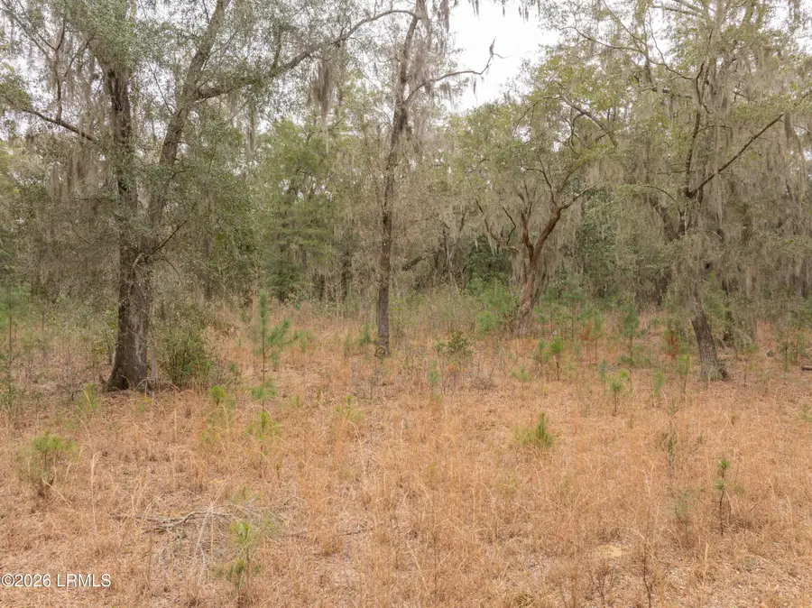 47 Osmunda Street, Beaufort, SC 29907 - Image #3