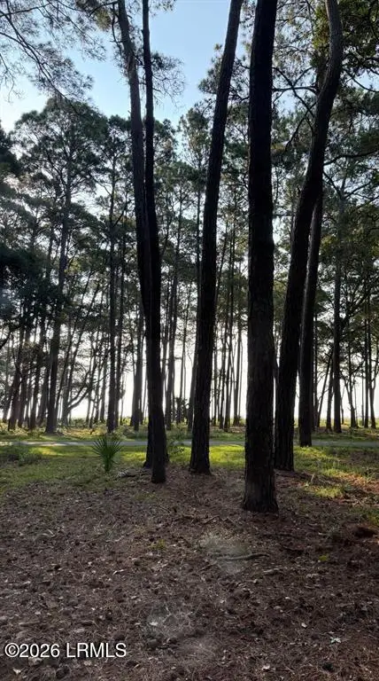 87 Martinangel Lane, Daufuskie Island, SC 29915