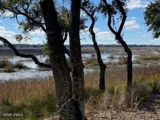 74 Downing Drive, Beaufort, SC 29907 - #3