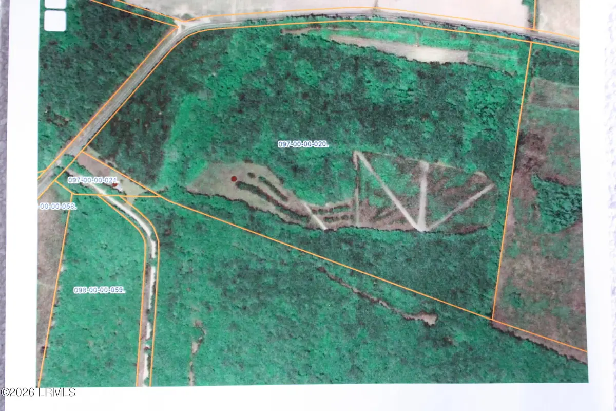 2650 Joe Miley Road, Brunson, SC 29911 - #1