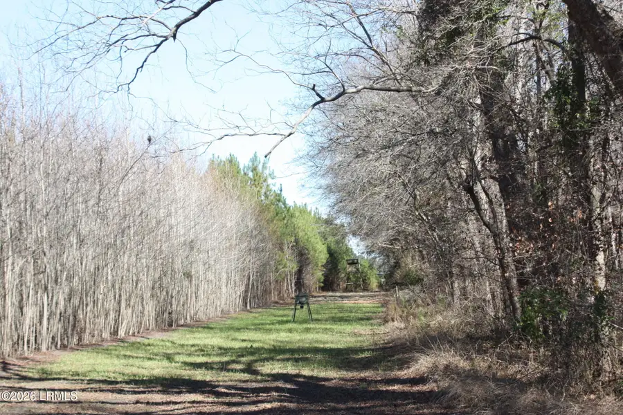 2650 Joe Miley Road, Brunson, SC 29911 - #2