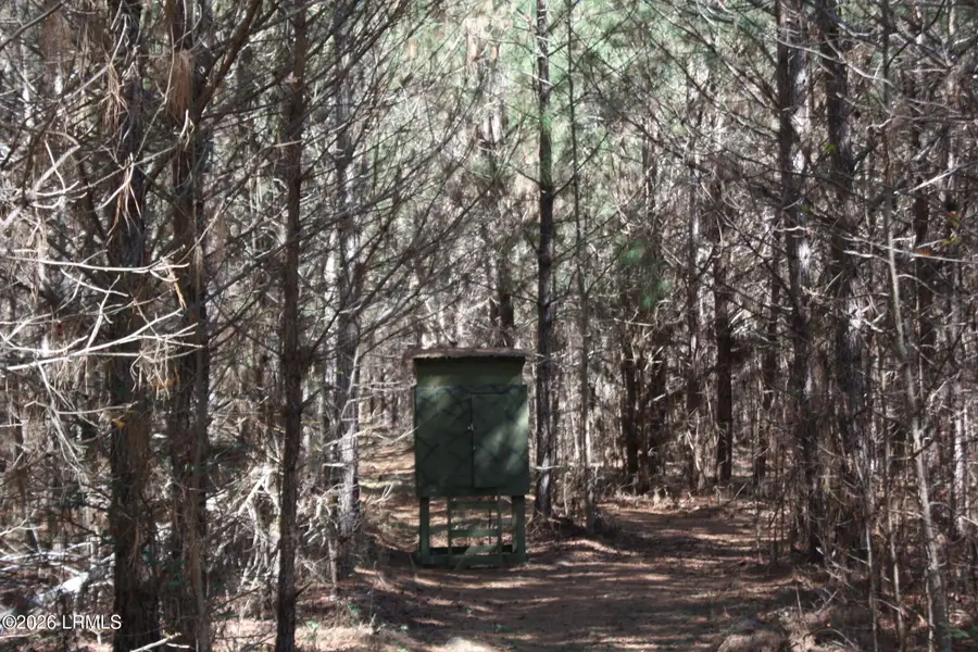 2650 Joe Miley Road, Brunson, SC 29911 - #3