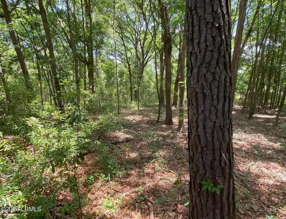 32 Jo Capers Road, Saint Helena Island, SC 29920 - #1