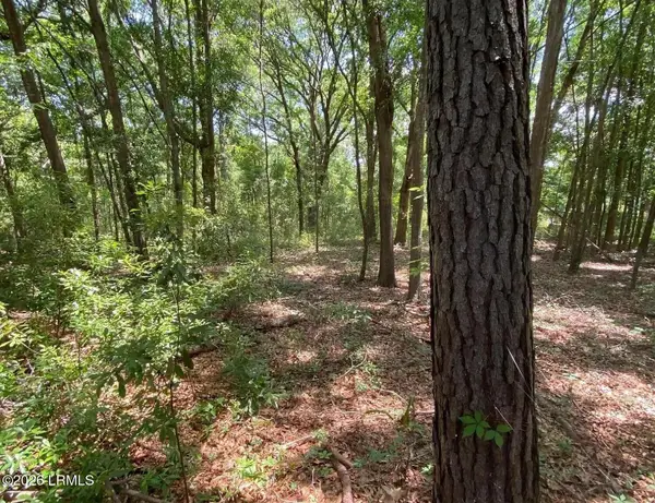 32 Jo Capers Road, St. Helena Island, SC 29920