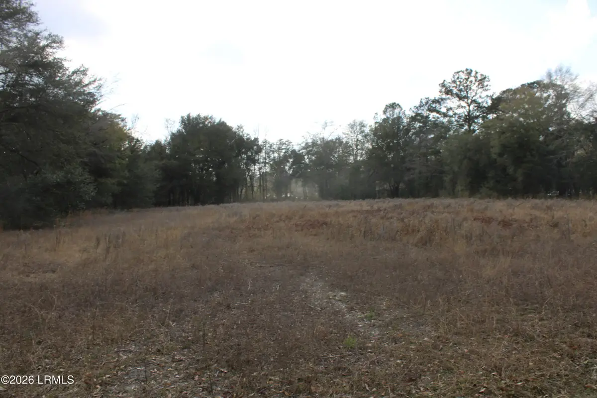 1100 Charleston Highway, Hampton, SC 29924 - #1