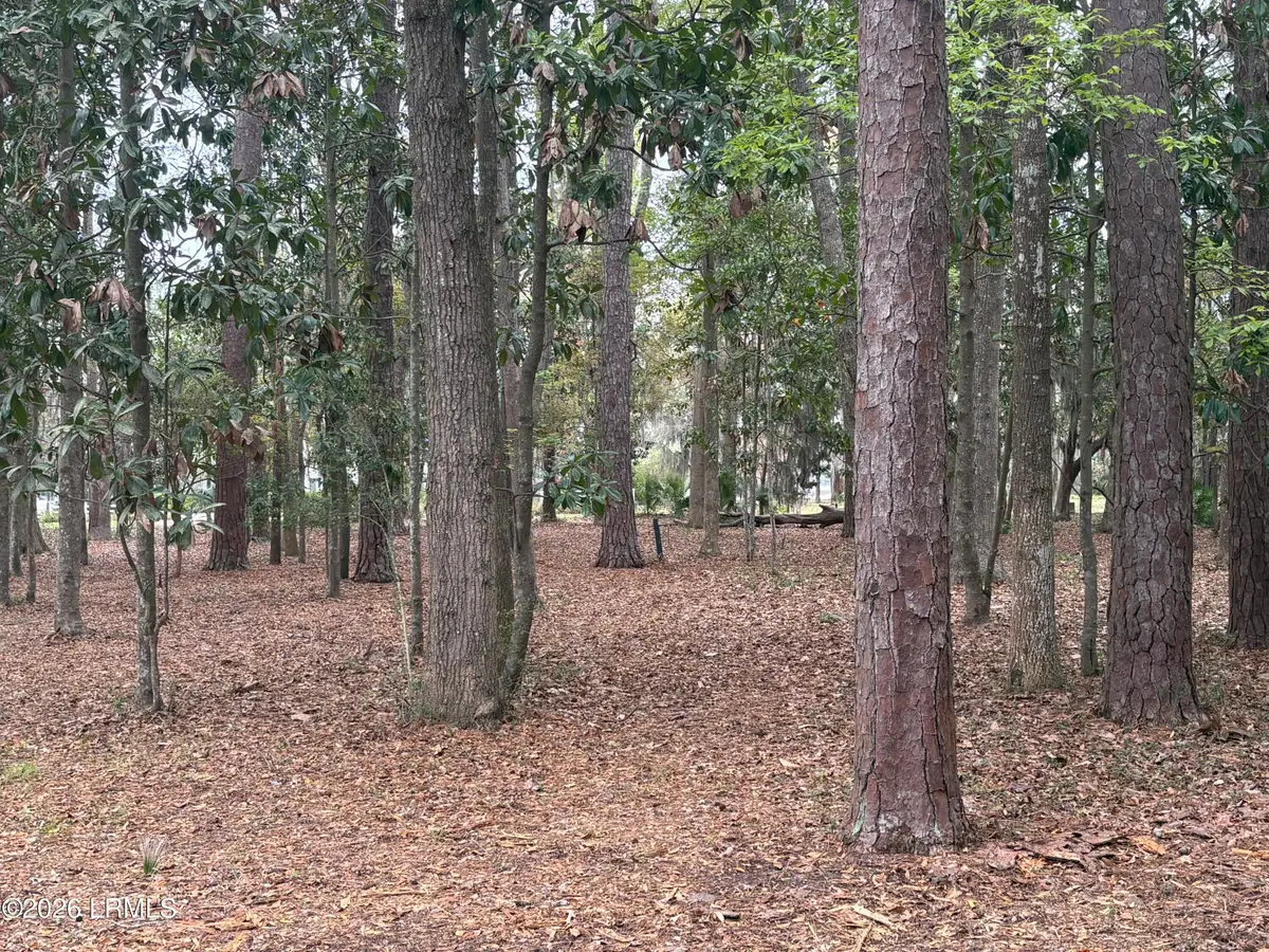 417 Battery Chase, Beaufort, SC 29902 - #1