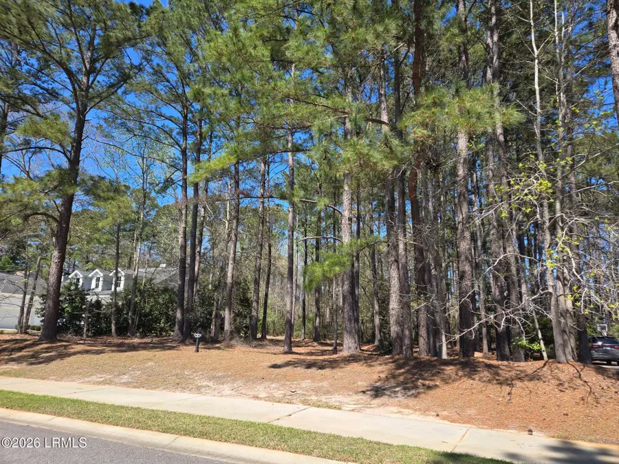 92 Wicklow Drive, Bluffton, SC 29910 - #2