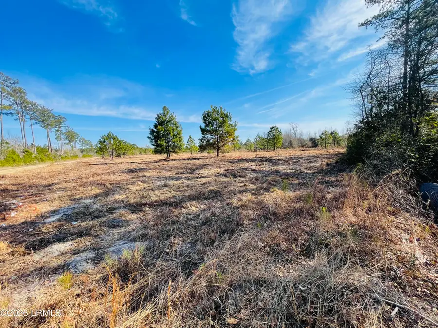 0 E Gillisonville Road, Ridgeland, SC 29936 - #3