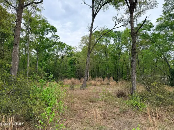 0 Meredith Road, Ridgeland, SC 29936