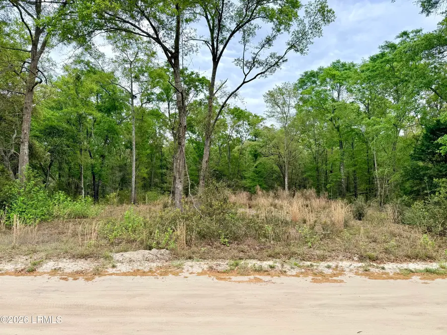0 Meredith Road, Ridgeland, SC 29936 - #2