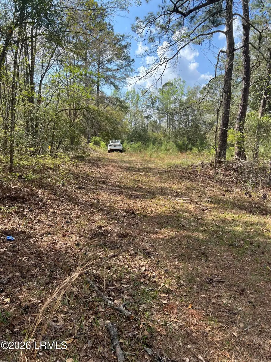 3885 Lowcountry Highway, Yemassee, SC 29945 - #2