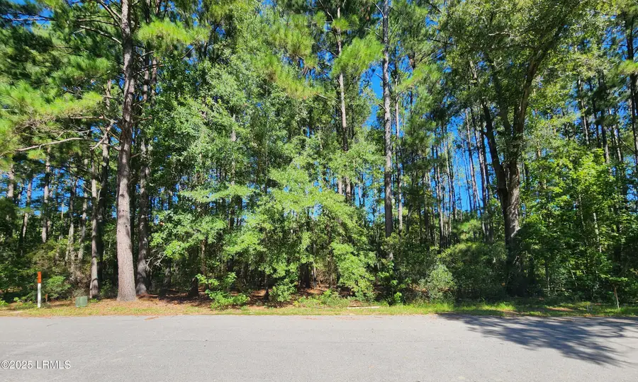 301 Founders Oak Way, Yemassee, SC 29945 - #2