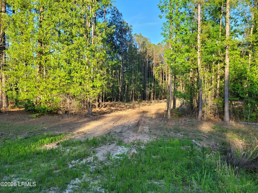 Tbd Speedway Boulevard, Hardeeville, SC 29927 - #2