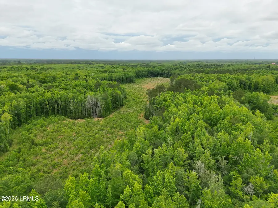 Tbd Evergreen Lane, Walterboro, SC 29488 - #2