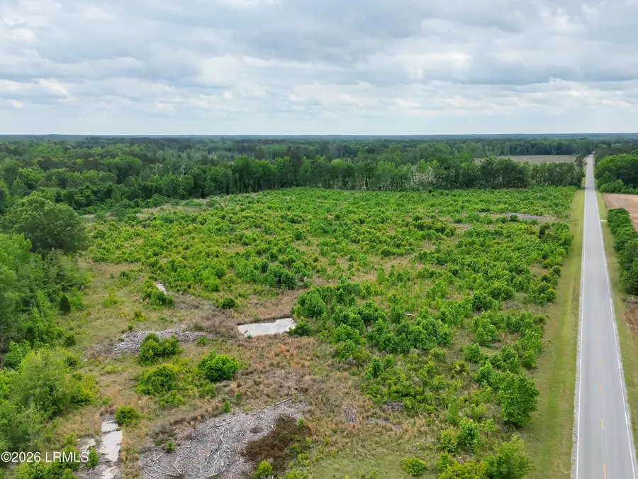 Tbd Voorhees Road, Bamberg, SC 29003 - #2