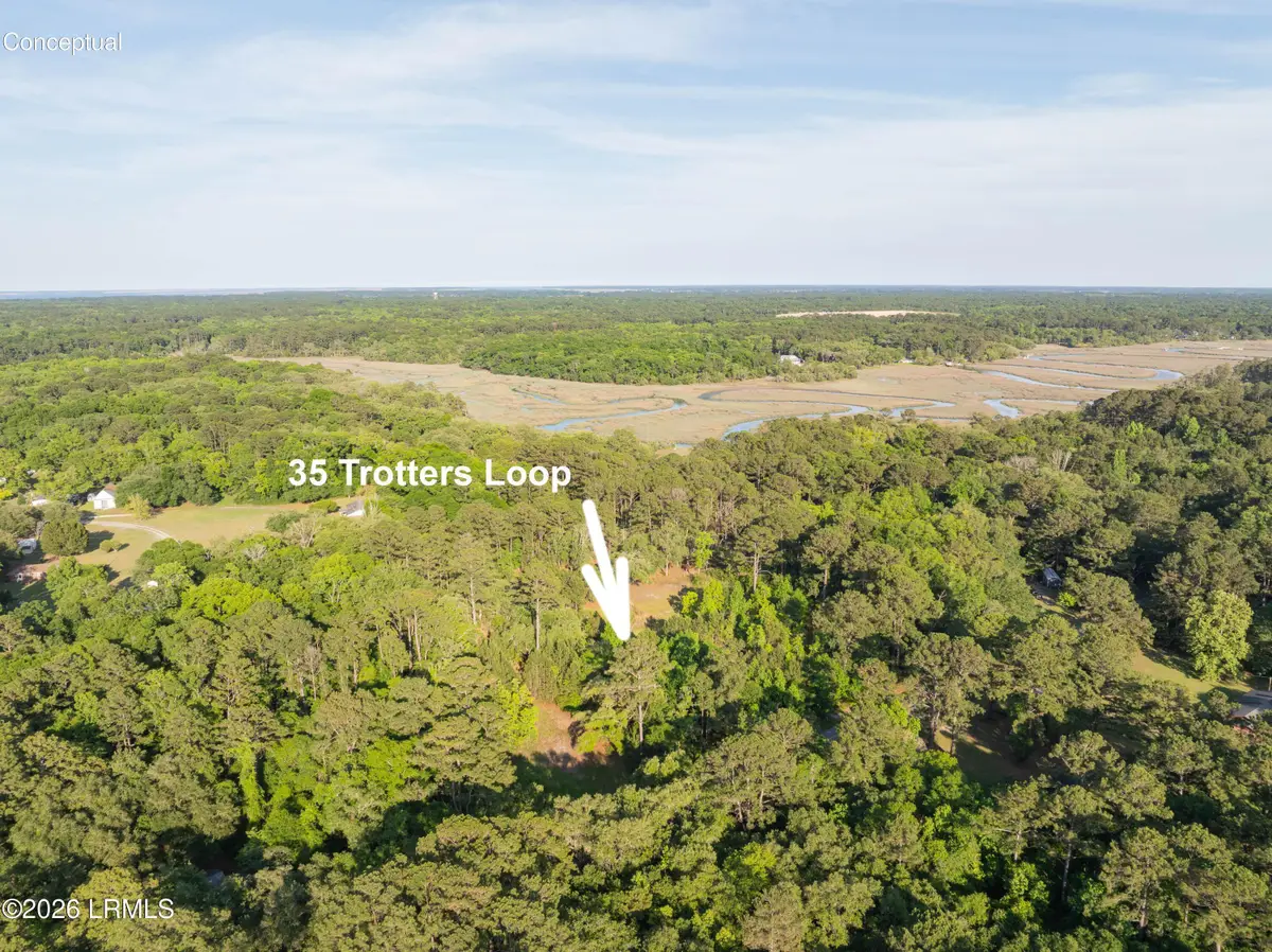 35 Trotters Loop, Beaufort, SC 29907 - #1