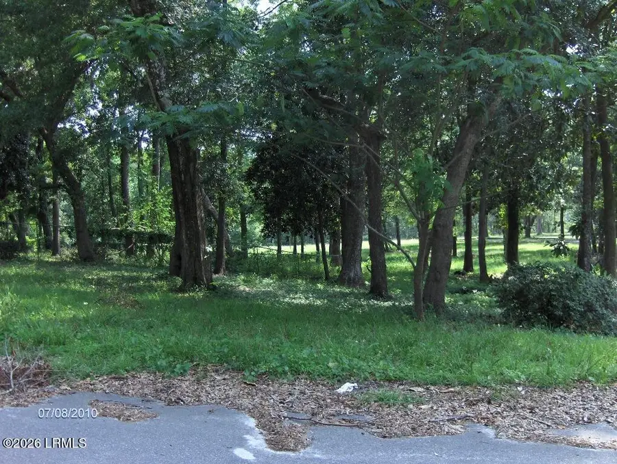 23 Donaldson Camp Road, Beaufort, SC 29906 - #3