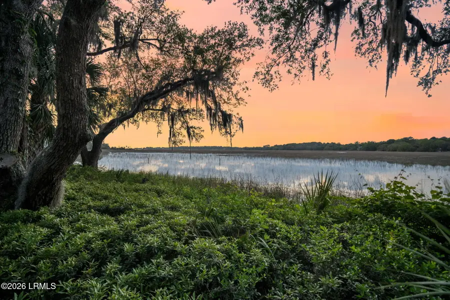 25 Seagrass Landing Court, Hilton Head Island, SC 29926 - #3