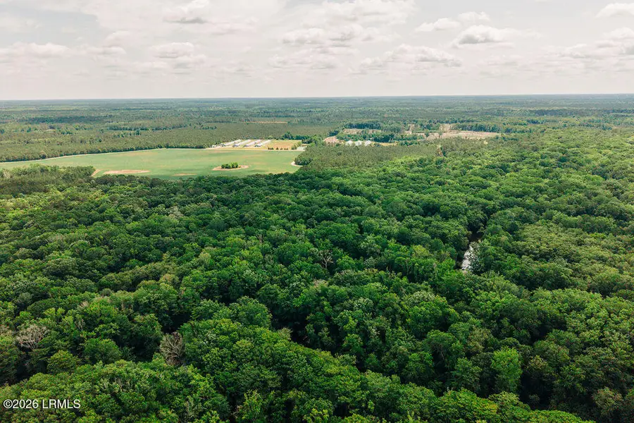 0 Parnel Road, Cope, SC 29038 - #3