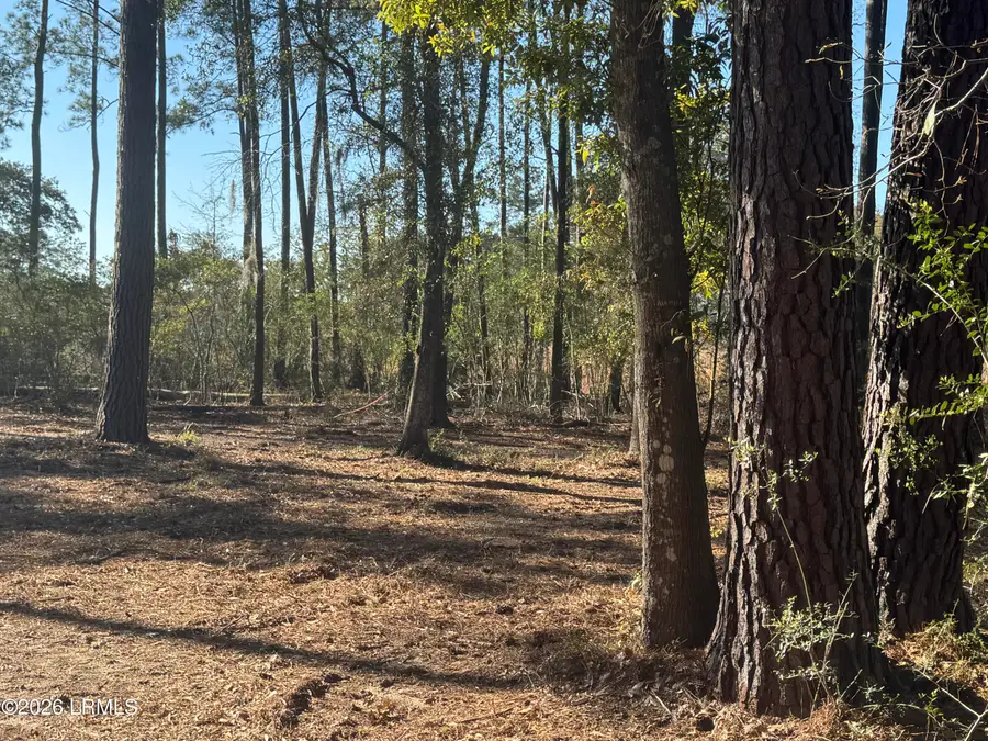 14 River Drive, Beaufort, SC 29907 - #2