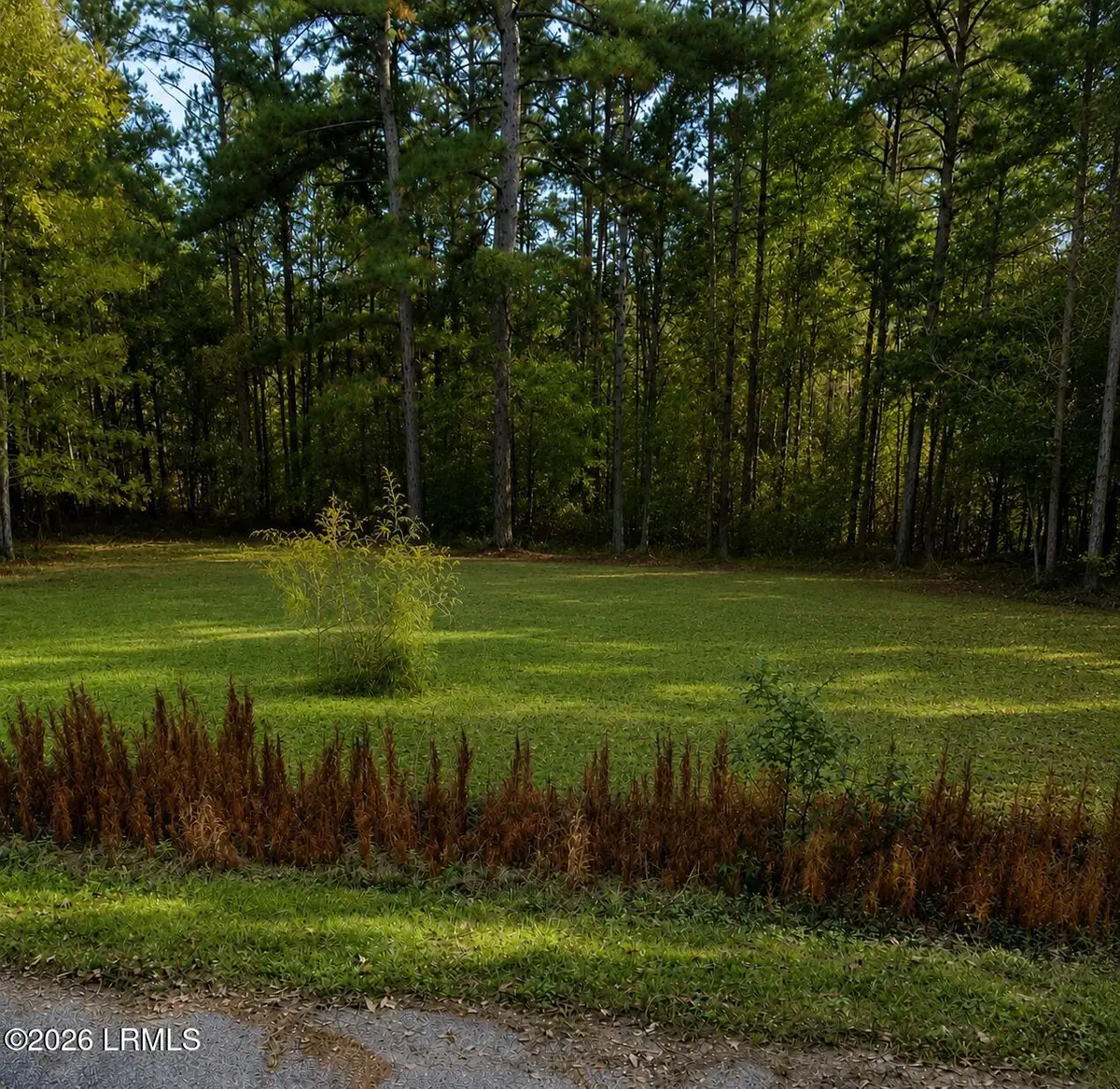 539 Luther Street, Fairfax, SC 29827 - #1