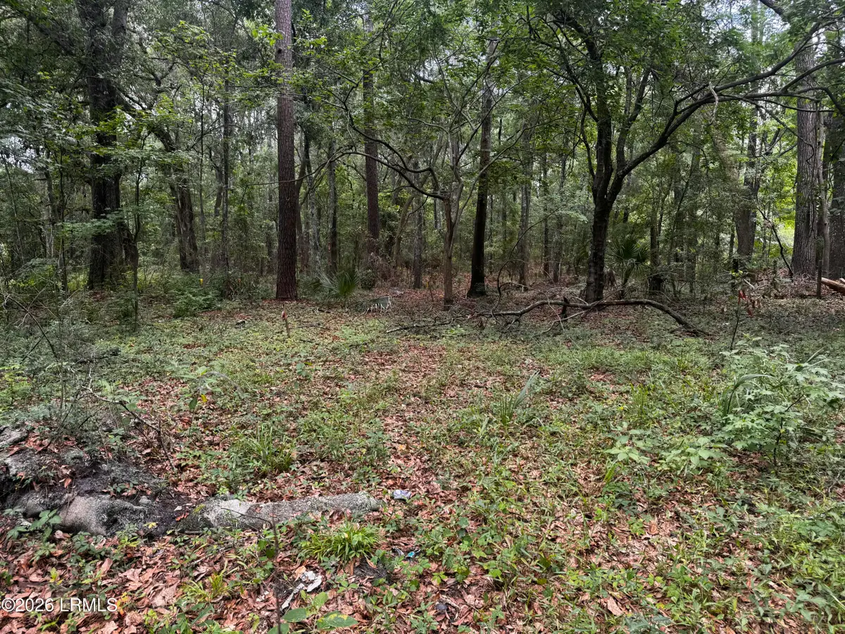 43 Pine Grove Road, Beaufort, SC 29906 - #1
